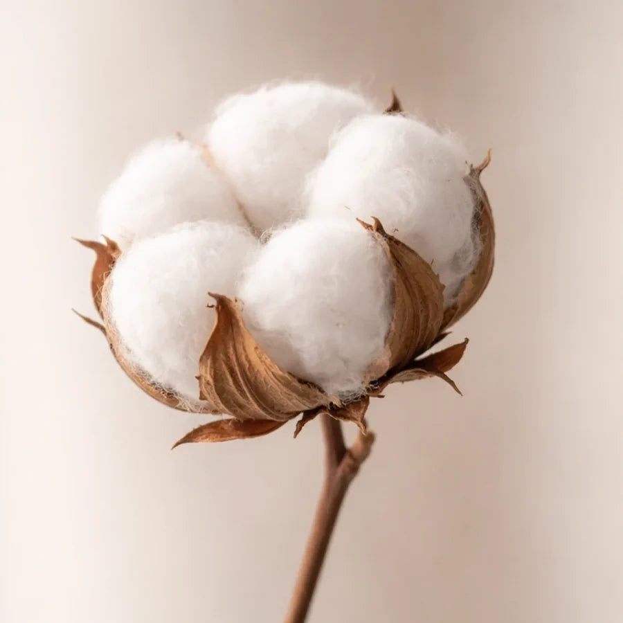 Above the Clouds Natural Wear - Pima Supima Cotton - Light Weight and softness - Natural Fabric - Bali